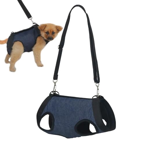 Fisssure Dog Lift Harness – Hüftstützbandage, Hüftstützbandage | Welpengeschirre, Hilfsgürtel, Zughundegeschirr, Rehabilitations-Hebeweste, verstellbare, atmungsaktive Gurte für alte, behinderte, Haus von Fisssure