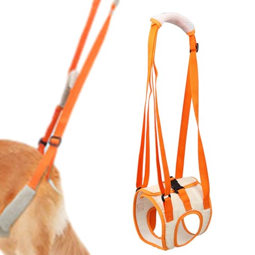 Fisssure Hüftstütze für Hunde | Doppelte feste Hüftschiene aus Mesh für Hunde | Ergonomischer Hilfsgurt für Haustiere, atmungsaktiver Hundebeinstützschal von Fisssure