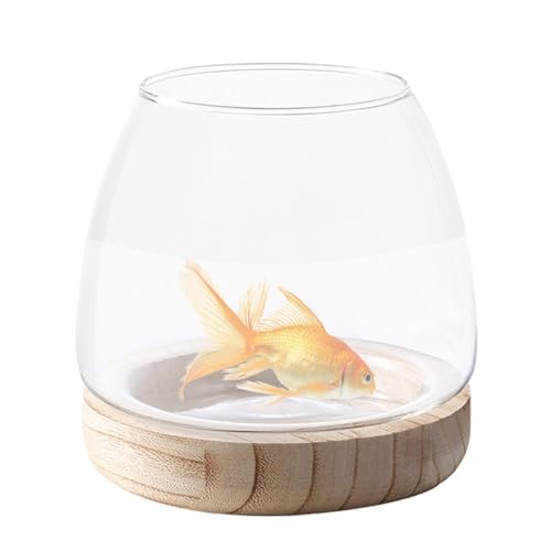 Fisssure Hydroponisches Pflanzenterrarium - Transparente Holzvase Schale,-Blumenvase, Terrarium, Glas-Hydrokultur-Pflanzgefäß, klare Fischschale für die Heimdekoration von Fisssure