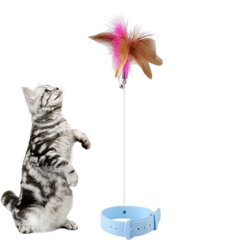 Fisssure Katzenfederhalsband Spielzeug - Interaktives Katzenhalsband-Spielzeug für den Innenbereich - Interaktiver Catcher Teaser und lustiges Übungsspielzeug für Kätzchen oder Katzen von Fisssure