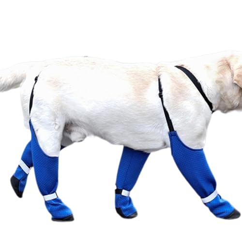 Hunde-Hosenträgerstiefel – Hundestiefel-Hosenträger, Wasserdichte Hundeschuh-Schuhe, Hundepfotenschutz | Verstellbare Hunde-Leggings, Regenstiefel, Kleine Hunde-Welpen-Schneehose Für Winter, Schnee, R von Fisssure