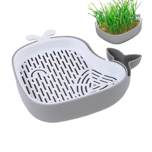 Katzen-Pflanztopf, hydroponischer Katzengras-Pflanzkasten, Haustier-Sprossen-Tablett, Katzen-Pflanzset, Katzentopf-Design, erdloses Sprossen-Tablett, geschichtete Design-Töpfe, Katzengras-Sprossen, Ha von Fisssure