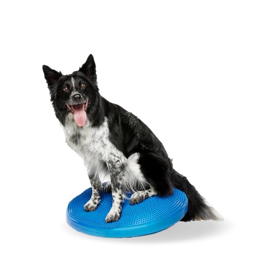 Ball Dynamics FPAWSBD 22 FitPAWS Balance Scheibe, 56 cm, blau von FitPAWS