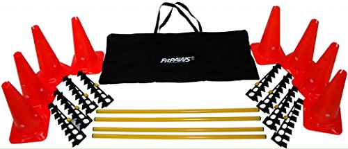 Ball Dynamics FPHURD Fitpaws Hurdle Set von FitPAWS