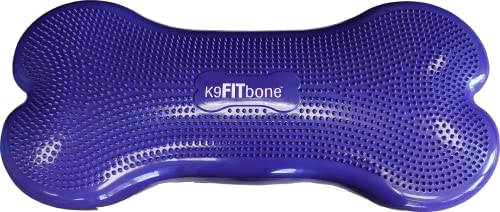 FitPAWS Giant Fitbone (Violett) von FitPAWS