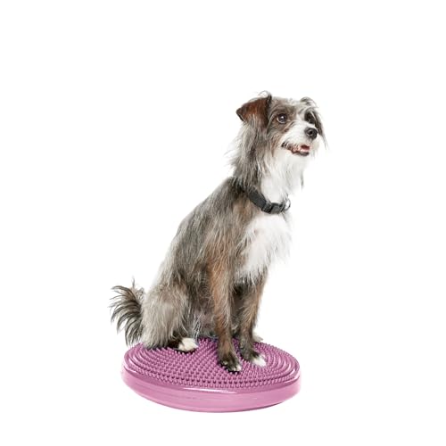 Fitpaws Balance-Disc für Hunde, 14", Violett von FitPAWS