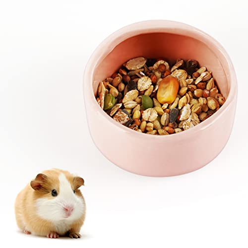 fitlyiee Keramik kauresistent: Hamster Schüssel für Hamster Igel Meerschweinchen und kleine Tiere, rose von Fitlyiee