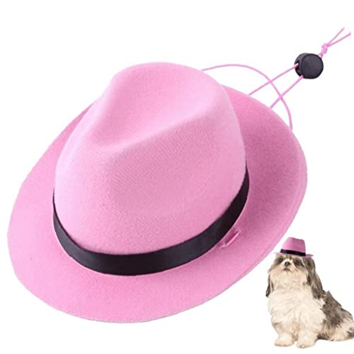 Fituenly Haustierhund Cowboy Hut Katze Lustige Kopfbedeckung Hunde Cosplay Kostüm Kopfbedeckung Accessoires Für Foto -Requisiten Performance von Fituenly