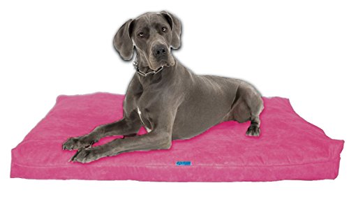 Five Diamond Collection Orthopädisches Hundebett aus geschreddertem von Five Diamond Collection