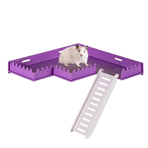 Fivetoo Käfig Spielplatz Hamster | Sicheres PVC-Spielstudio mit Leiter - Heimtierbedarf, Kleintier-Lebensraum-Dekoration für Hamster, Igel, Eichhörnchen, Rennmäuse, Chinchillas, Papageien von Fivetoo