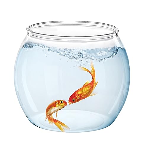 Kleines Goldfischaquarium,Kleine klare runde Fischschale für den Tisch | Mini-Aquarium für Wohnzimmer, Wohnung, Büros, Zuhause für Goldfische, Betta-Fische Fivetoo von Fivetoo