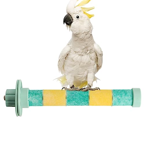 Vogelständer-Spielzeug | Klauenschleifender Papagei, mattierter Standpfahl,Sicheres und gesundes Übungsspielzeug für Sittiche, Wellensittiche, Turteltauben, mittelgroße Papageien und Fivetoo von Fivetoo