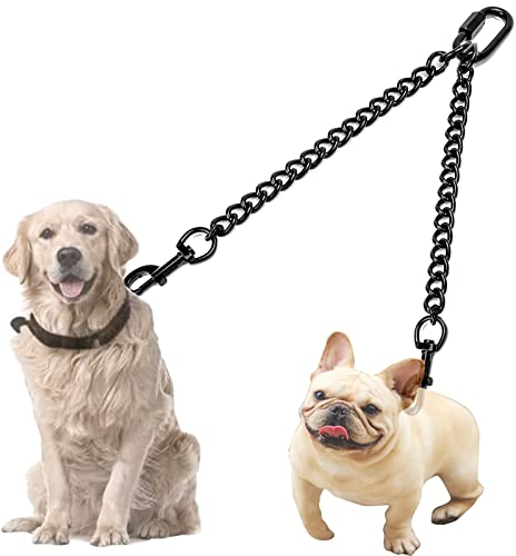 Hundeleine Doppelleine für 2 Hunde, Doppelte Hundeleine für Hund Hochleistungs Stahl Kette Hunde Leine, Metall Hundeleine Doppelter Coupler Hundeleinen für Große Kleine Hunde-L 4.0mm 70cm von Fiyade