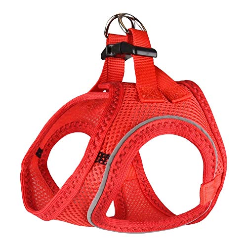 Flamingo - Red S. Bento Harness für kleine Hunde (Dackeltyp). - FL-519213 von Flamingo Pet Products