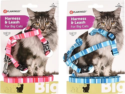 KATZENGESCHIRR+Leine Grosse Katze ALFRY 25-40CM 10MM SORTIMENT von Flamingo