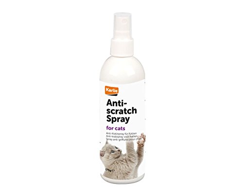 Anti Kratzspray Katze Fernhalte Spay Kratzstop 1x 175ml Sprühflasche von Flamingo