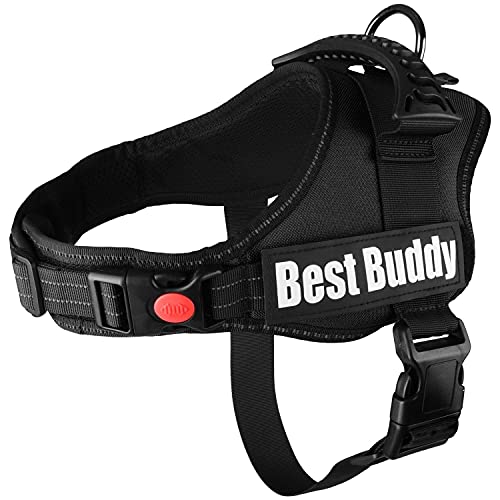 F ARNÉS Best Buddy Pluto Schwarz XXL 95-130 cm x 50 mm von Flamingo