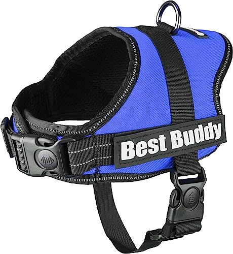 Geschirr Best Buddy Pluto BLAU XS 40-55CM*25MM von Flamingo