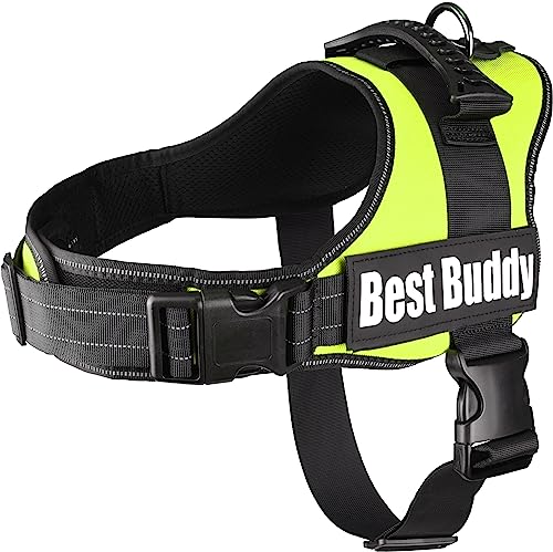 Geschirr Best Buddy Pluto NEON GRÜN L 70-90CM*50MM von Flamingo