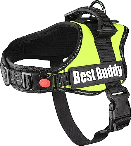 Geschirr Best Buddy Pluto NEON GRÜN M 60-80CM*38MM von Flamingo