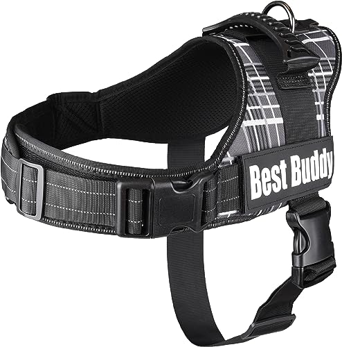 Geschirr Best Buddy Pluto SCHWARZ Grid XL 80-100CM*50MM von Flamingo