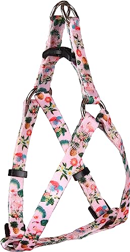 Geschirr Step&GO SERA ROSA/GRÜN/GELB MIT FLAMINGO XS 30-40CM 10MM von Flamingo