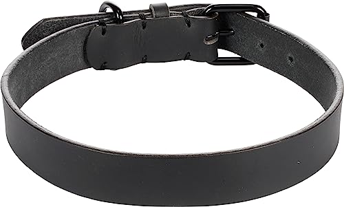 Halsband LEANO SCHWARZ XXL 52-62CM 30MM von Flamingo