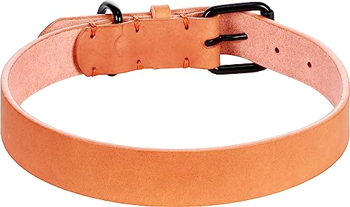 Halsband LEANO Cognac XL 47-57CM 30MM von Flamingo