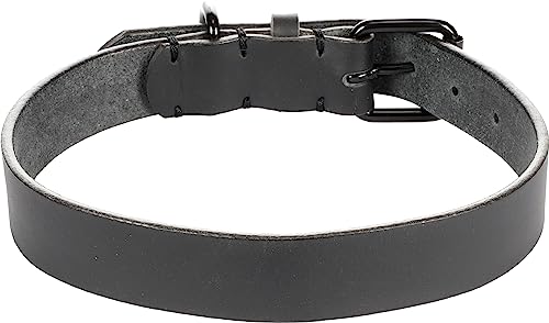 Halsband LEANO SCHWARZ XL 47-57CM 30MM von Flamingo