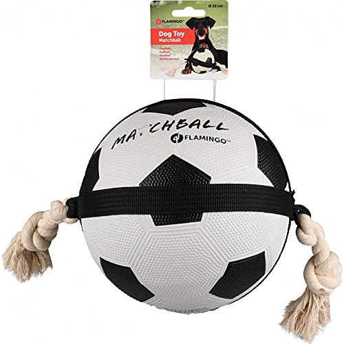 FLAMINGO Pet Products Matchball Fußball, Durchmesser 19 cm, für Hunde, FL-5345415 von Flamingo