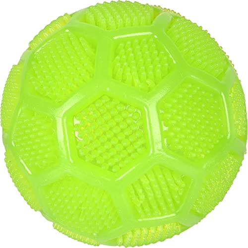 Flamingo HS TPR KRICO DENTAL Squeaky Ball GRÜN Dia 10CM von Flamingo