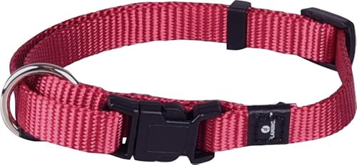 Flamingo Halsband für Hund Ziggi kirschrot XS - 20-35cm 10mm - Stufenlos verstellbar - Mit zugentlastung von Flamingo