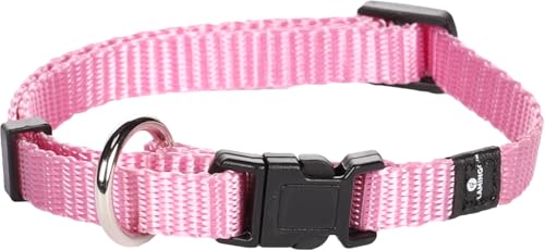 Flamingo Halsband für Hund Ziggi rosa XS - 20-35cm 10mm - Stufenlos verstellbar - Mit zugentlastung von Flamingo