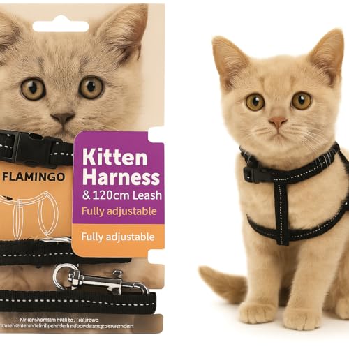 Flamingo Katzengeschirr mit Leine Elza – Schwarz – Für Kätzchen | Sicher, komfortabel & stilvoll! Flamingo Katzengeschirr mit Leine Elza – Schwarz – Für Kätzchen | Sicher, komfortabel & stilvoll! von Flamingo