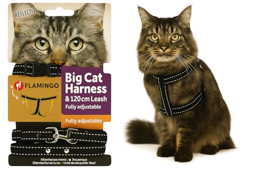 Flamingo Katzengeschirr mit Leine Elza – Schwarz | Sicher, komfortabel & perfekt für große Katzen! Flamingo Katzengeschirr mit Leine Elza – Schwarz | Sicher, komfortabel & perfekt für große Katzen! von Flamingo