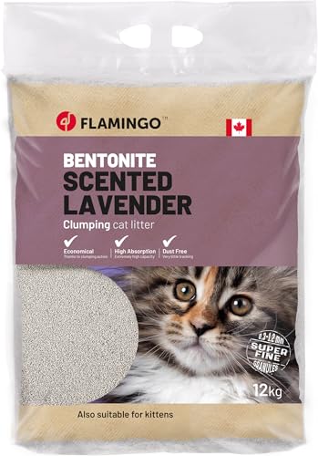 Flamingo Klumpstreu Kanada aus Bentonit mit Lavendelduft - Feine Körnung, 12 kg für 10 Wochen, Ideal für Maine Coon, Britisch Kurzhaar, Ragdoll, Norwegische Waldkatze usw. von Flamingo