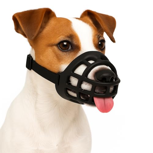 maulkorb Hund - maulkorb kleine Hunde - Silikon Maulkorb verstellbar weich komfortabel - für Training, Spaziergang & Tierarzt - Flamingo Maulkorb Benzo S maulkorb Hund - maulkorb kleine Hunde - Silikon Maulkorb verstellbar weich komfortabel - für Training, Spaziergang & Tierarzt - Flamingo Maulkorb Benzo S von Flamingo