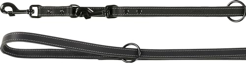 TRAININGSLEINE MONTANA Leder SCHWARZ 200CM 20MM von Flamingo