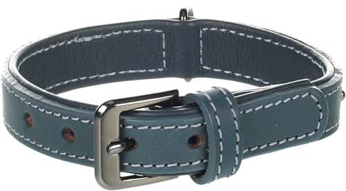 Halsband Denver + SCHMUCKELEMENTEN BLAU S 25-31CM 22MM von Flamingo