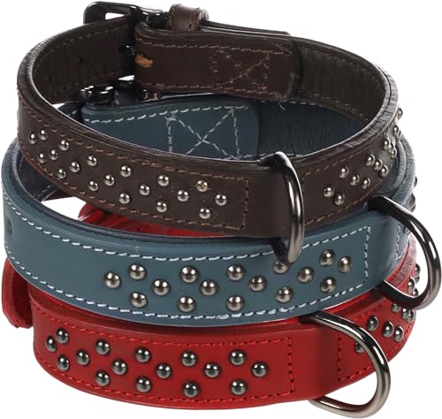 Halsband Denver + SCHMUCKELEMENTEN ROT M/L 36-45CM 30MM von Flamingo