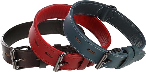 Halsband Denver BREIT ROT S/M 34-44CM 35MM von Flamingo