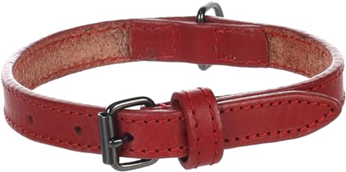 Halsband Denver ROT S 29-35CM 15MM von Flamingo