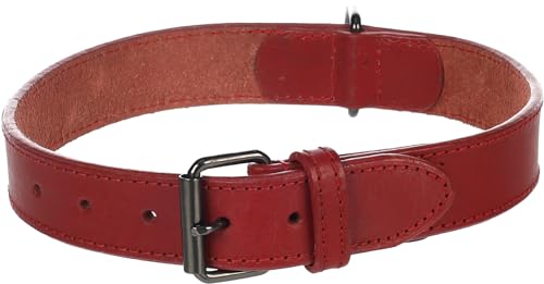 Halsband Denver ROT XL 47-57CM 30MM von Flamingo