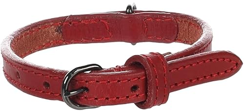 Halsband Denver ROT XS 20-25CM 10MM von Flamingo