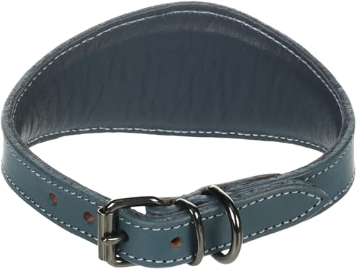 Halsband Denver Whippet BLAU M 31-38CM 55MM von Flamingo