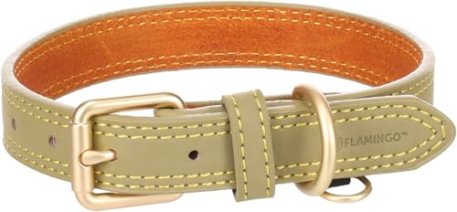 Flamingo Halsband für Hund Virginia grün S/M 31-39cm 20mm - Mit einem Ring für ID-Anhänger - Genäht für extra Stärke von Flamingo