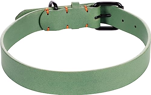 Halsband LEANO GRÜN XXL 52-62CM 30MM von Flamingo