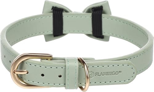 Hund Halsband mit Schleife NELA Minzgrün M 36-44cm 20mm von Flamingo