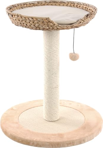 KRATZBAUM KIBO I BEIGE von Flamingo