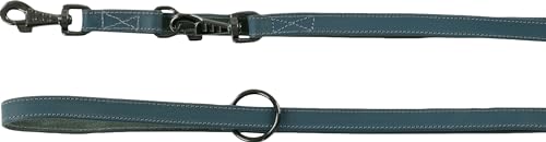 TRAININGSLEINE Denver BLAU 240CM 22MM von Flamingo